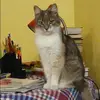 Отзыв от Майя Астахова